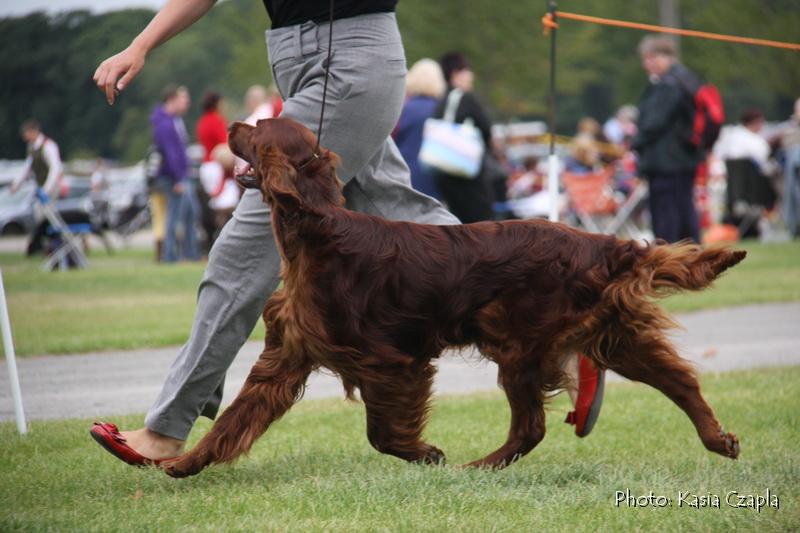 Copper's Champagne On Ice At Aoibheanne (17).jpg